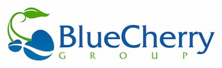 Blue Cherry Group-logo